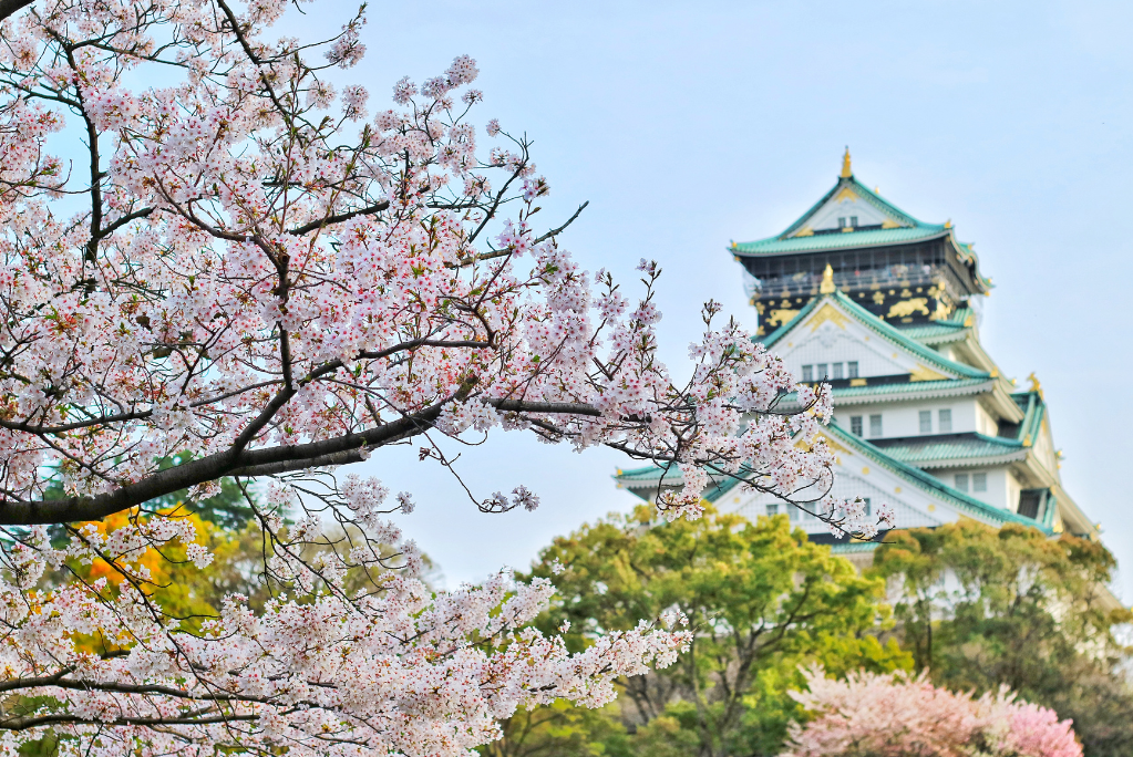Japonia